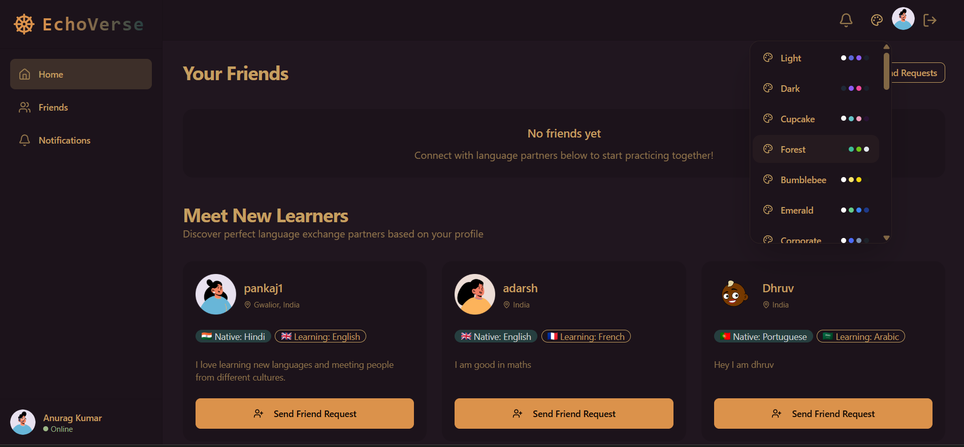Echoverse website project